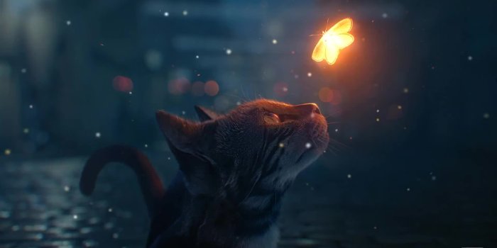 1920x1080 Wallpaper Engine Best Wallpapers Gifs Search | Search & Share on Homdor