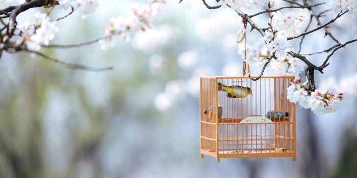 1920x1200 Cute Nature Wallpapers - Top Free Cute Nature Backgrounds