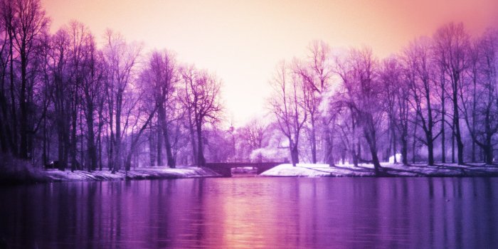 2560x1707 Landscape, Natural Images, Flowers, Cute Desktop Images, Amazing