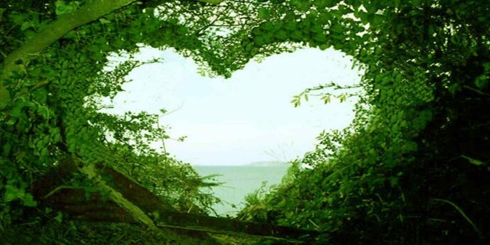 1900x1091 Cute Nature Wallpapers - Top Free Cute Nature Backgrounds