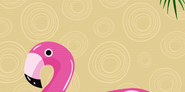 900x1600 ♡ Cute Walls ♡: Flamingo wallpapers