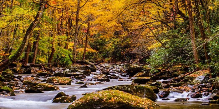 1920x2560 Cute HD Wallpapers Nature For Mobile – HD Wallpapers Nature