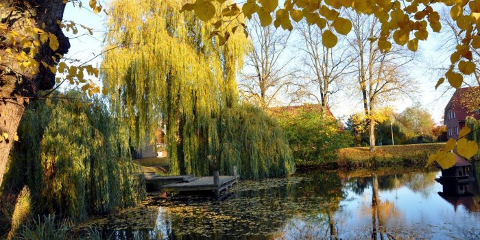 1920x1200 2512816 cute nature wallpaper (1920x1200) | Nature wallpapers