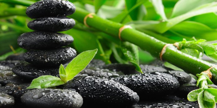 1920x1280 Cute Nature Wallpaper HD [1920 × 1200] : wallpaper