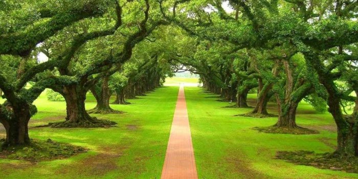 1280x720 Beautiful Nature Wallpapers For Mobile