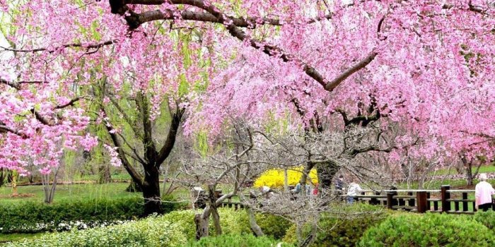 1444x944 HD Nature Wallpapers, View, Cute Desktop Images, Field, Nature