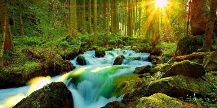 1280x800 Cute Nature Wallpapers - Top Free Cute Nature Backgrounds