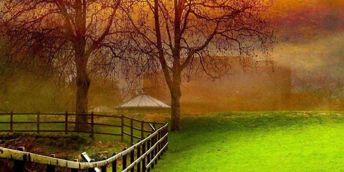 1080x1920 New Nature Wallpapers (69+ background pictures)