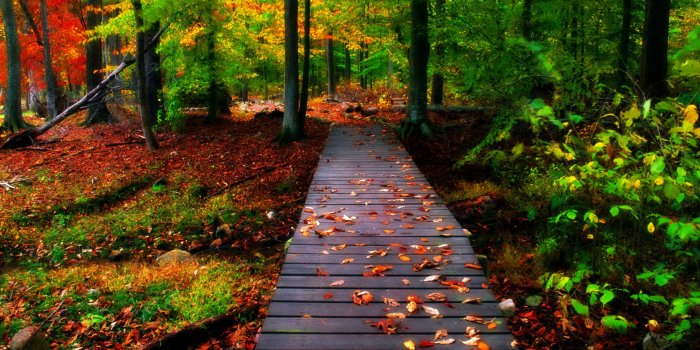 2560x1600 Natural Wallpaper for Desktop ·① WallpaperTag