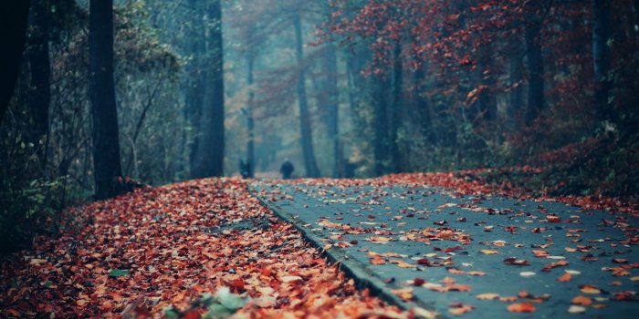 1920x1200 Cute Nature Wallpapers - Nature - AMAZING WALLPAPER HD