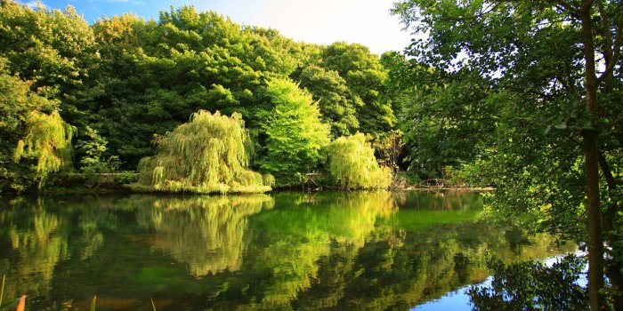 1920x1200 2512818 cute nature wallpaper (1920x1200) | Nature wallpapers