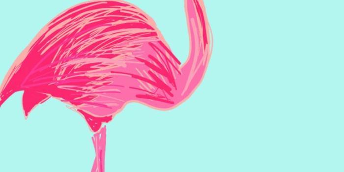 768x1365 Flamingo Friday – Free Background | misc in 2019 | Cute screen