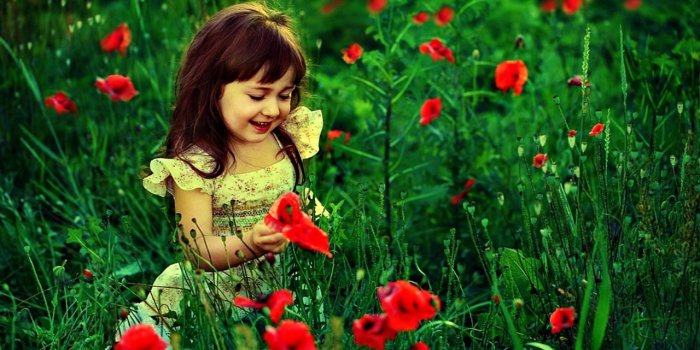 1280x800 Free Cute Nature Wallpapers (15 HD Photos) | Chainimage