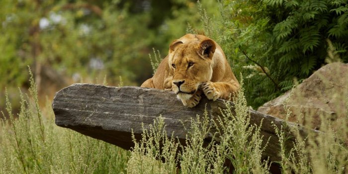 1920x1200 Cute Nature Wallpapers - (51+) Wallpaper Collections