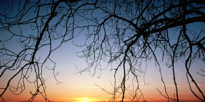 1152x864 Desktop Wallpaper On Nature, Vintage, Car, 3D Wallpaper and Many