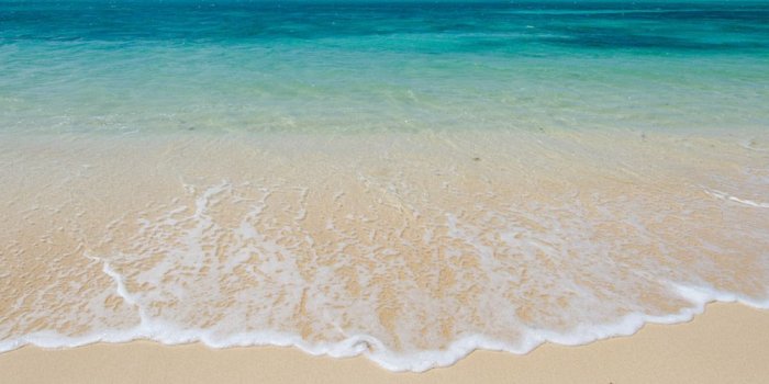 1600x500 Apple Beach Wallpaper The Galleries Of Hd Wallpaper - Beach Ridge