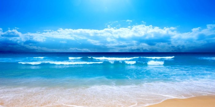 1488x1007 Apple Beach Wallpaper