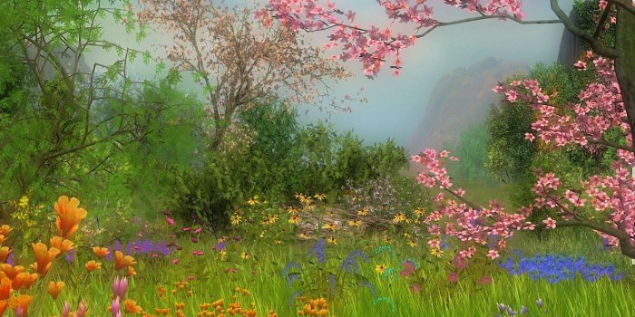 2400x1380 Cute Nature Trees Flowers New Wallpaper - Trees Wallpapers and