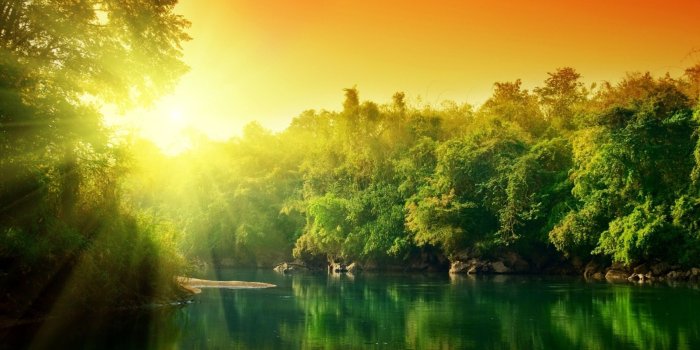 1920x1080 Free Cool Nature Wallpaper