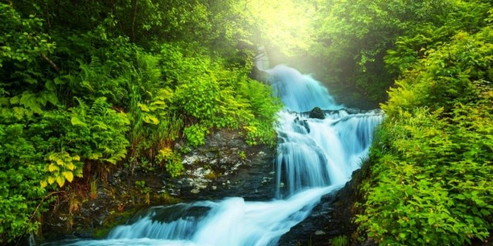 1280x800 HD Nature Wallpapers, View, Natural Images, Cute Desktop Images