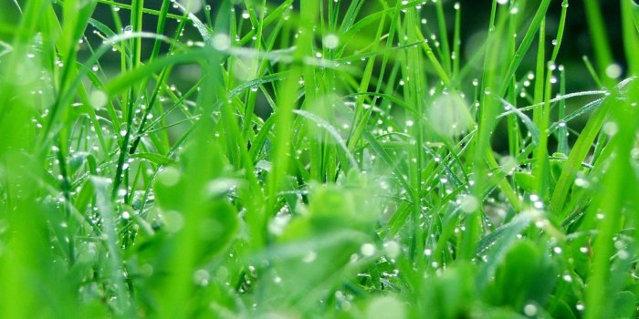 1600x1200 Desktop Wallpaper On Nature, Vintage, Car, 3D Wallpaper and Many