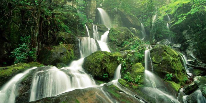 1600x1200 Free Cute Nature Wallpapers | Babangrichie.org