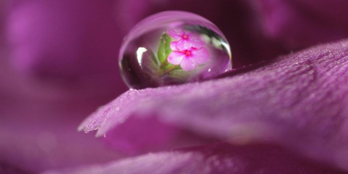 1366x768 Cute Nature Wallpaper