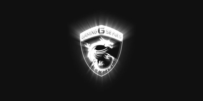 1280x720 MSI black and white wallpaper.