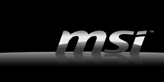 1600x1000 MSI Wallpapers