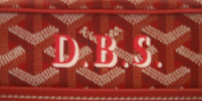 1600x1200 Goyard Cap Vert PM Crossbody/shoulder Bag - Red Goyardine W/monogram NWTIB