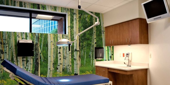 1700x800 Murals & Wallpaper for Medical Offices and Clinics | Murals Your Way