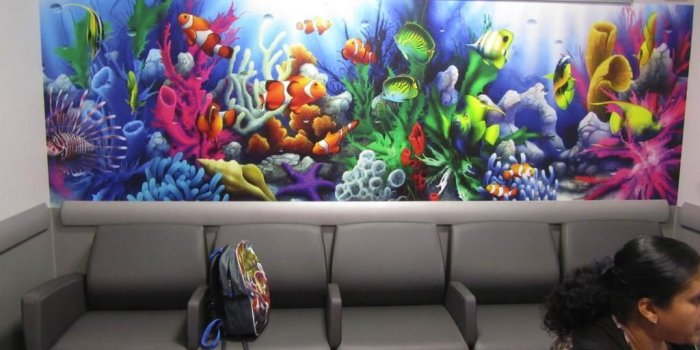 1024x768 Medical Murals | Murals Your Way | Pediatric office | Office mural