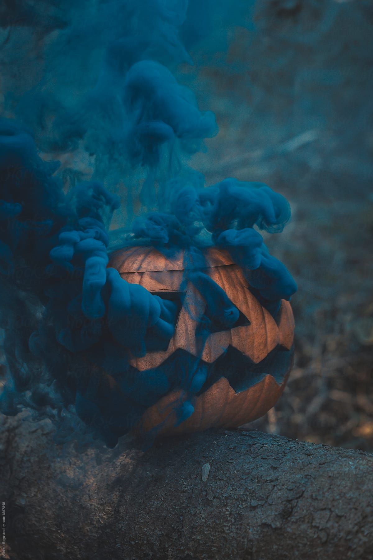 1200x1800 Pumpkin with smoke in the forest by Alberto Bogo - Halloween