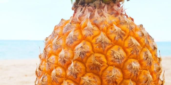 1242x2688 Summer, beach, pineapple, sunglasses, shell 1242x2688 iPhone XS Max