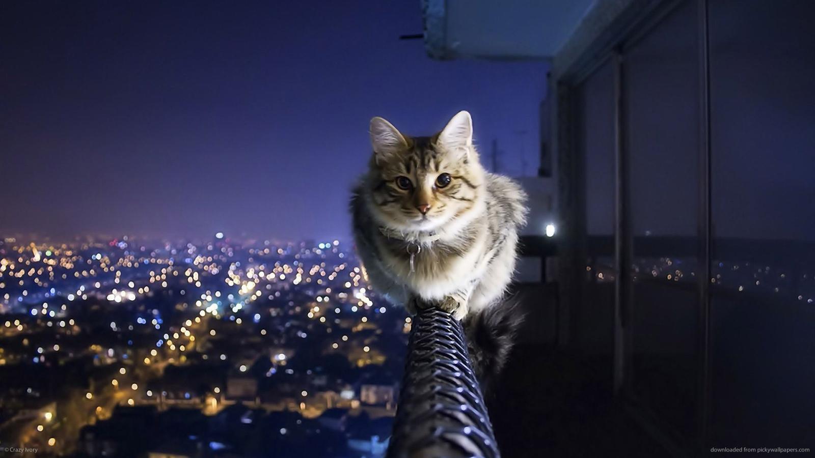 1920x1080 Sick backgrounds extra wallpaper 0p - Free HD Wallpapers