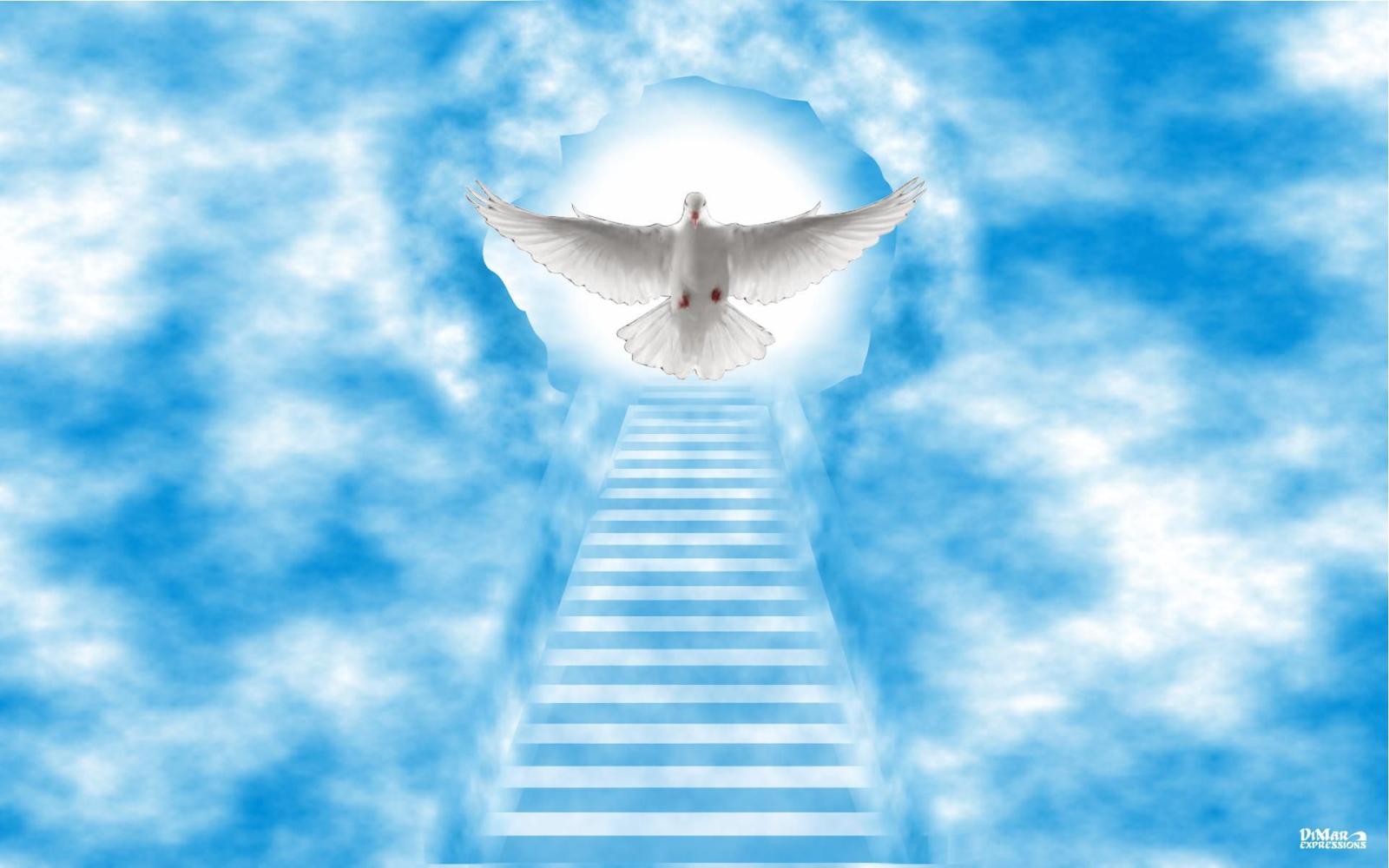 1920x1200 Stairway to Heaven Wallpaper - WallpaperSafari | Stairway to heaven