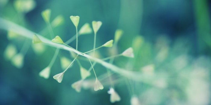 2560x1600 130+ HD minimalist wallpapers of colors, macro images and more