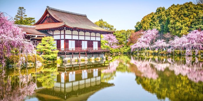 1280x800 Spring in Japan Wallpapers HD free download