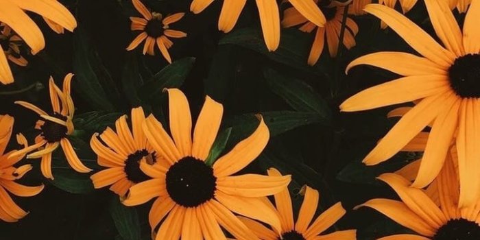 720x1280 wallpaper | Tumblr shared by Sheila Marie on We Heart It