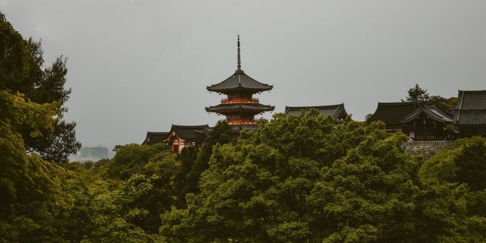 3840x2400 Download wallpaper 3840x2400 pagoda, trees, architecture, kyoto