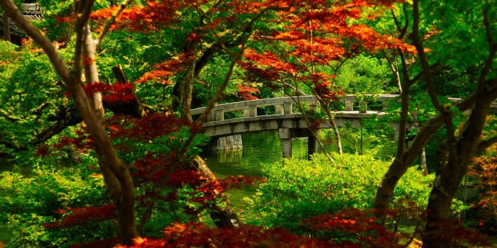 1920x1173 Japanese Garden Wallpaper HD