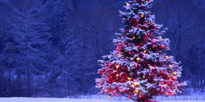 1280x1024 Christmas Snow Wallpapers