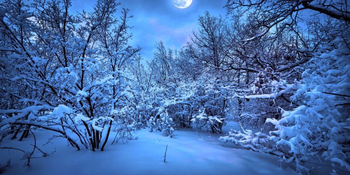 2560x1600 55+ Christmas Snow Wallpapers - Download at WallpaperBro