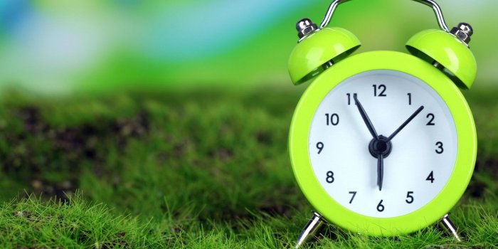 1332x850 Wallpaper grass, time, watch, morning, alarm clock images for