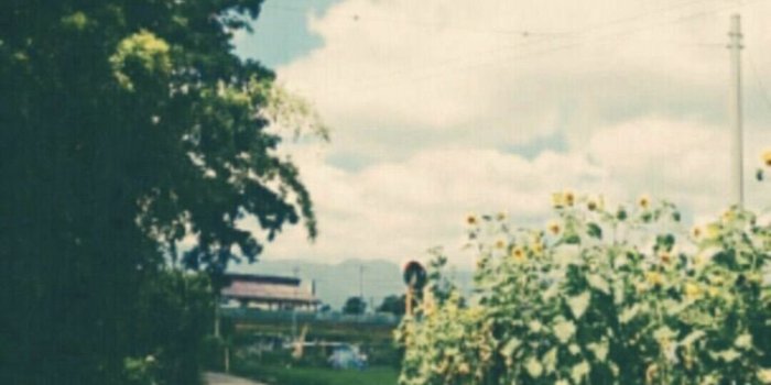 750x1334 iPhone Wallpaper Summary