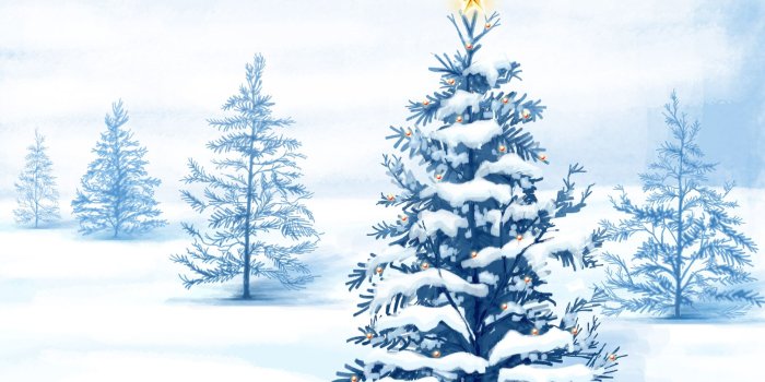 1920x1200 Christmas Snow Trees #4214315, 1920x1200 | All For Desktop