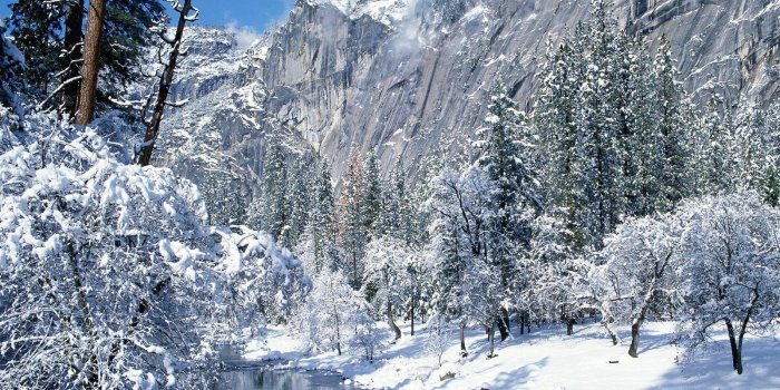 1600x1200 Christmas Snow Scene Wallpapers