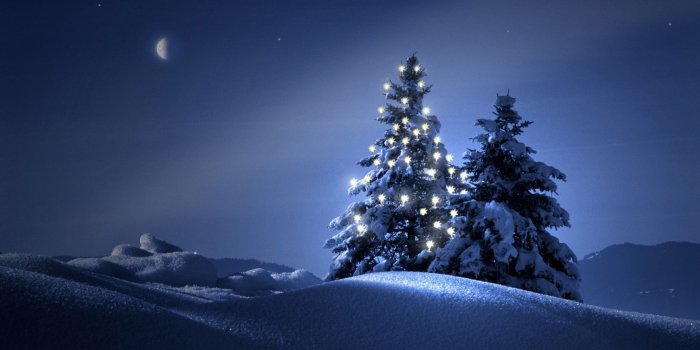 1680x945 Christmas Trees In The Snow Wallpaper 4058 – Background Wallpaper HD