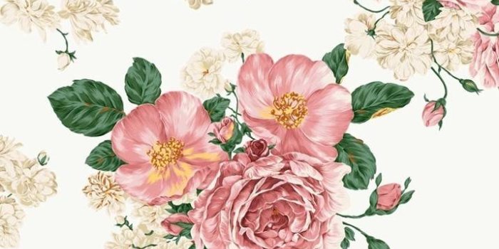 716x1280 Tumblr Flowers Wallpaper by Instrumentals - 85 - Free on ZEDGE™