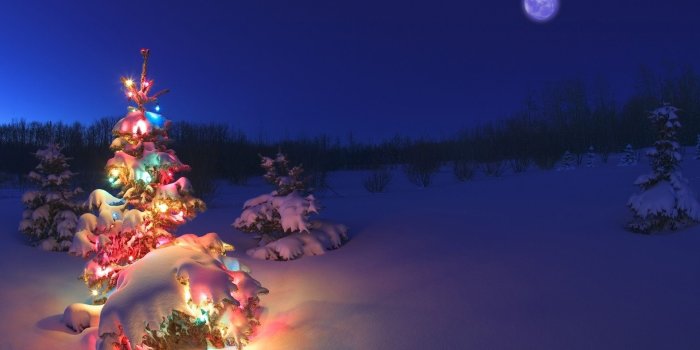 1920x1200 10 New Christmas Lights Snow Wallpaper FULL HD 1080p For PC Desktop